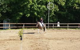 Journée Découverte de l'Equitation (78)